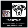 "BRUTUS" ~ WITH PHOTO REFERENCE