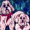 COMPANIONS ~ SOLD